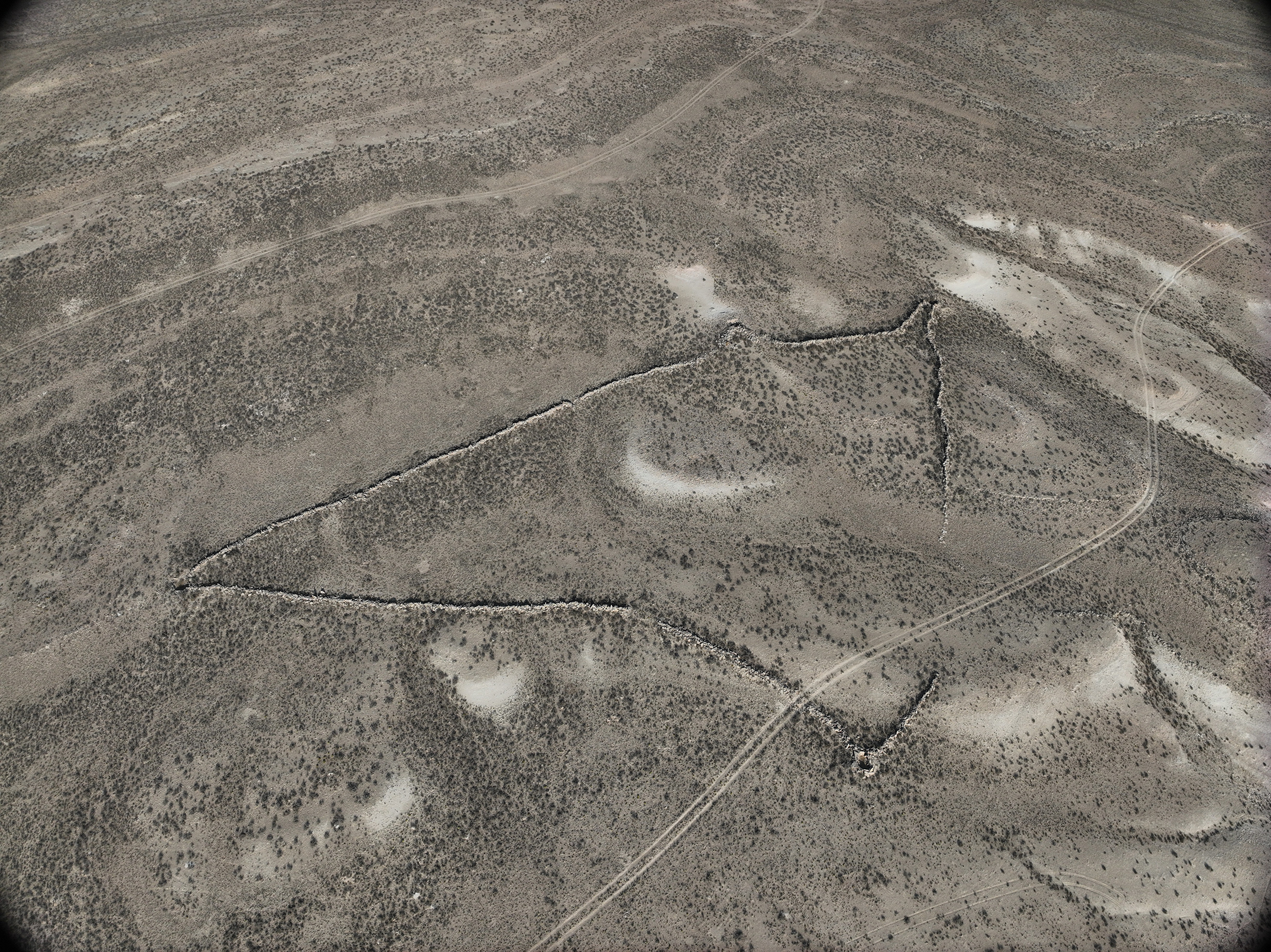 Aran hunting trap No. 49