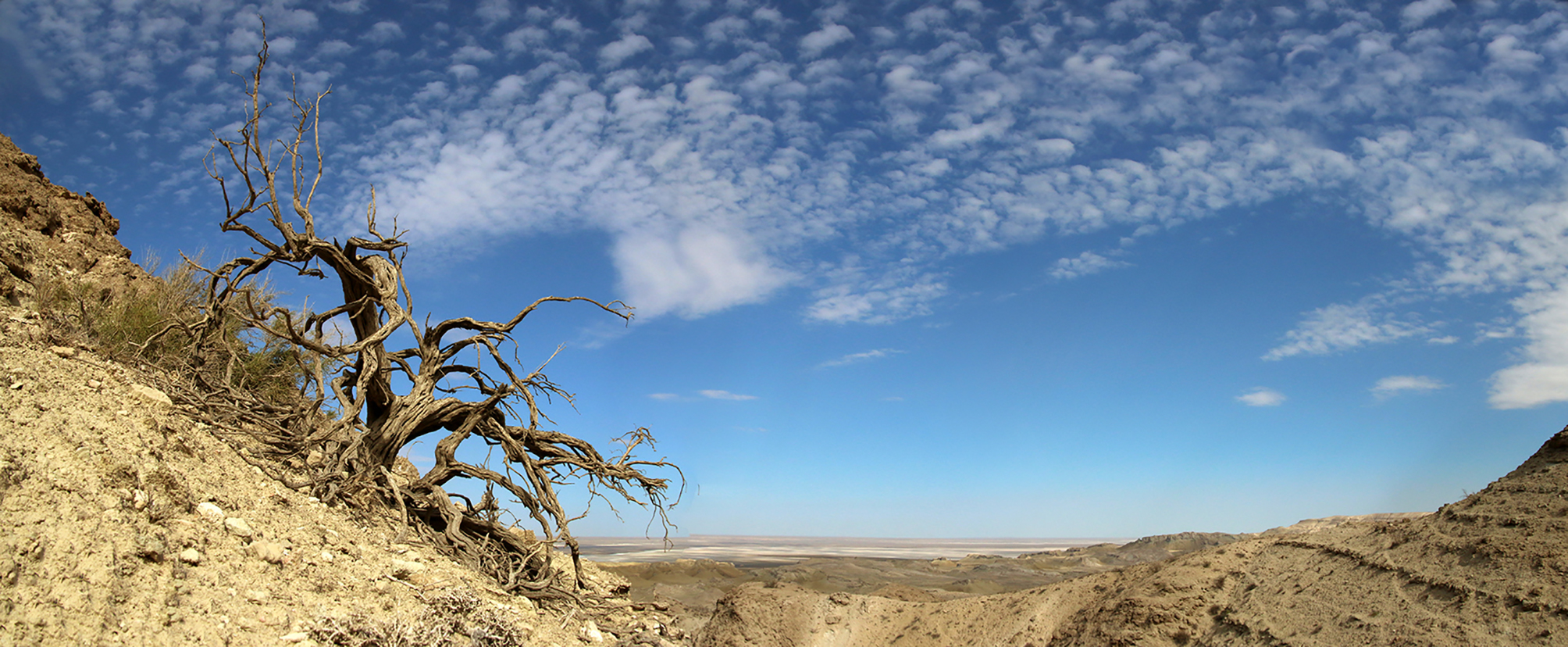 Ustyurt Landscapes and Aran Hunting Traps desertified environment