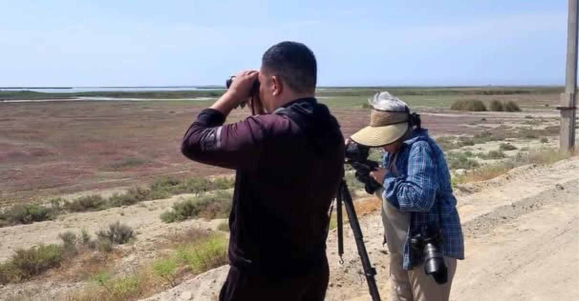 Monitoring of the state of conservation of natural features